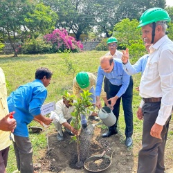 Tree Plantation in Tandur By CMD on 25.05.23